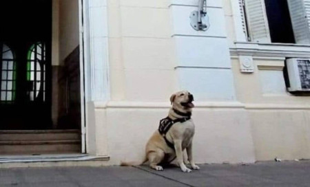 Corrientes: tras 9 años de servicio, despiden a Almendra